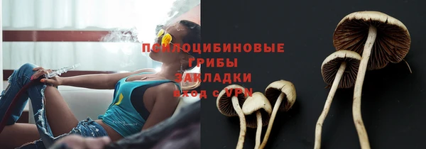гашиш Белокуриха