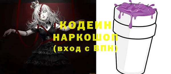 молекула духа Бронницы