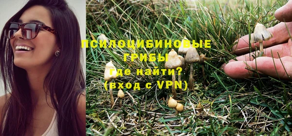синтетический гашиш Бородино