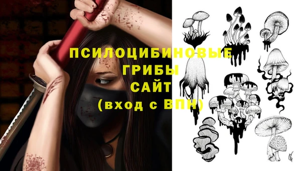 синтетический гашиш Бородино