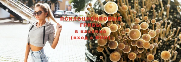 молекула духа Бронницы