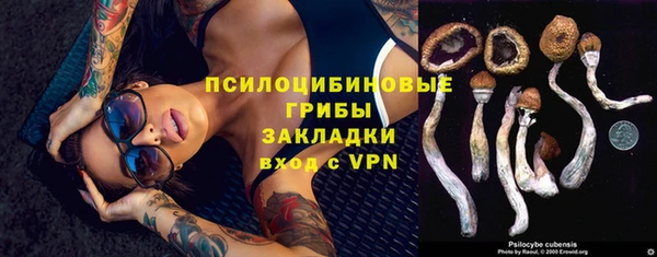 молекула духа Бронницы